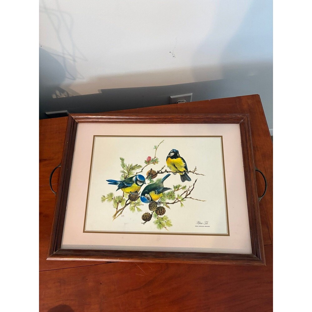 Blue Tit Bird Serving Tray Pimpernel Wood Frame Cork Back